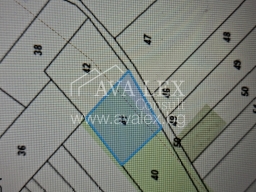 <span>Продава:</span> парцел в София област, с. Чепинци Снимка №2551